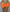 STRING ME UP ORANGE SKIRT
