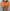 STRING ME UP ORANGE SKIRT